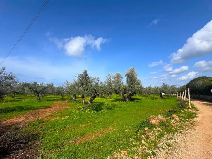 Image No.9-Plot for sale