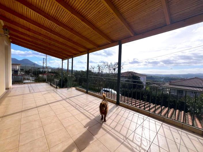 Image No.19-4 Bed House for sale