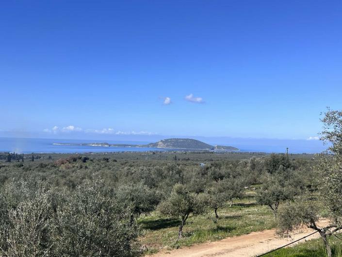 Image No.3-Plot for sale