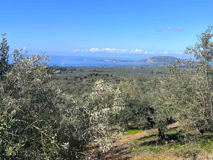 Image No.6-Plot for sale