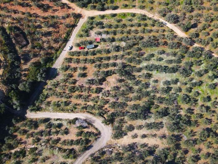 Image No.8-Plot for sale