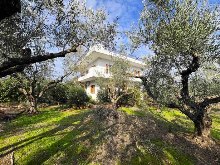 Image No.4-3 Bed House for sale