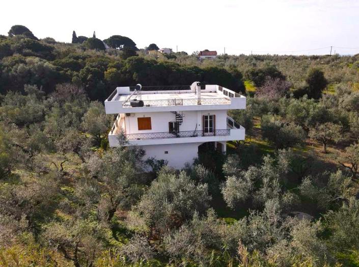 Image No.6-3 Bed House for sale