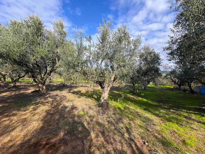 Image No.26-3 Bed House for sale