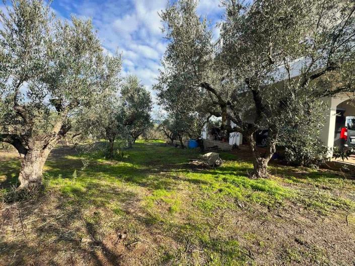 Image No.27-3 Bed House for sale