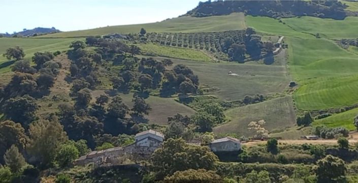 Image No.2-Plot for sale