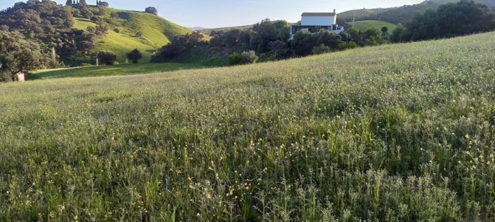 Image No.3-2 Bed Villa for sale