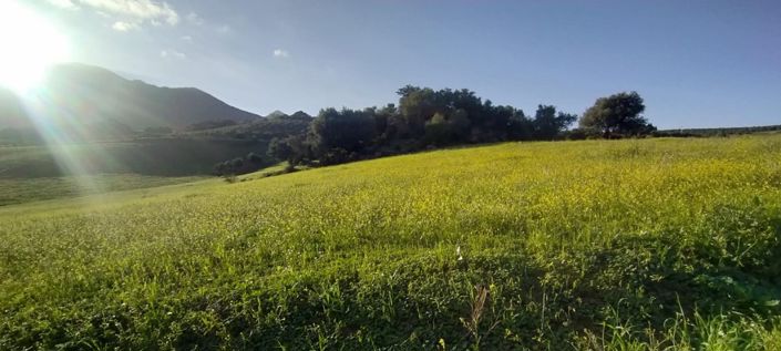 Image No.6-2 Bed Villa for sale