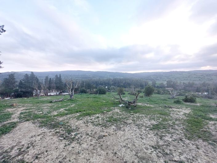 Image No.10-3 Bed Villa for sale