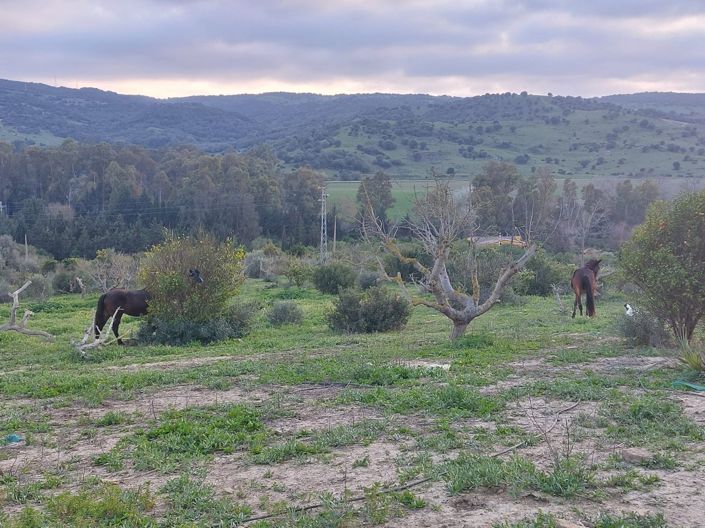 Image No.11-3 Bed Villa for sale