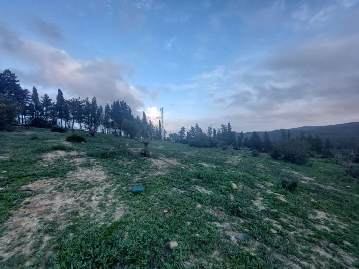 Image No.12-3 Bed Villa for sale