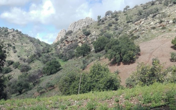 Image No.7-5 Bed Villa for sale