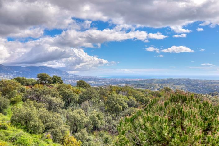 Image No.13-2 Bed Penthouse for sale