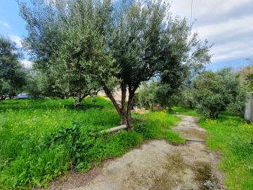 SH97-4-