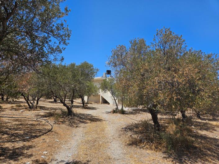 Image No.2-3 Bed Apartment for sale