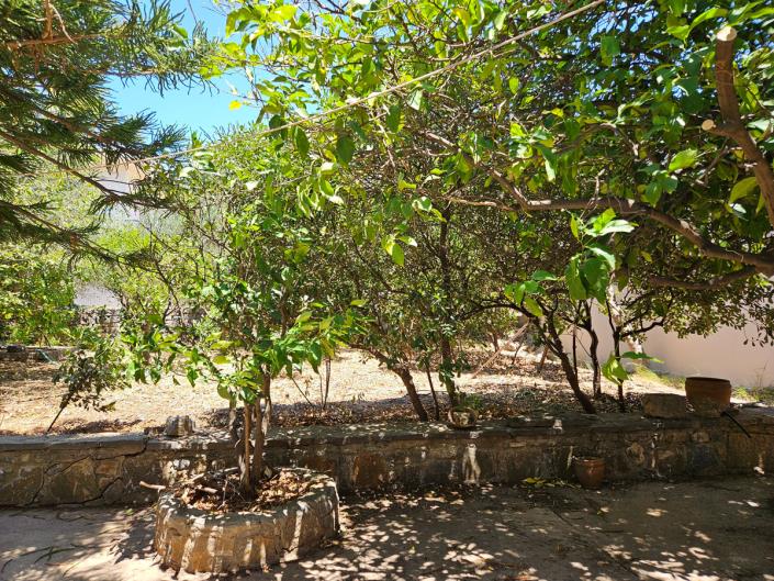 Image No.22-3 Bed Village House for sale