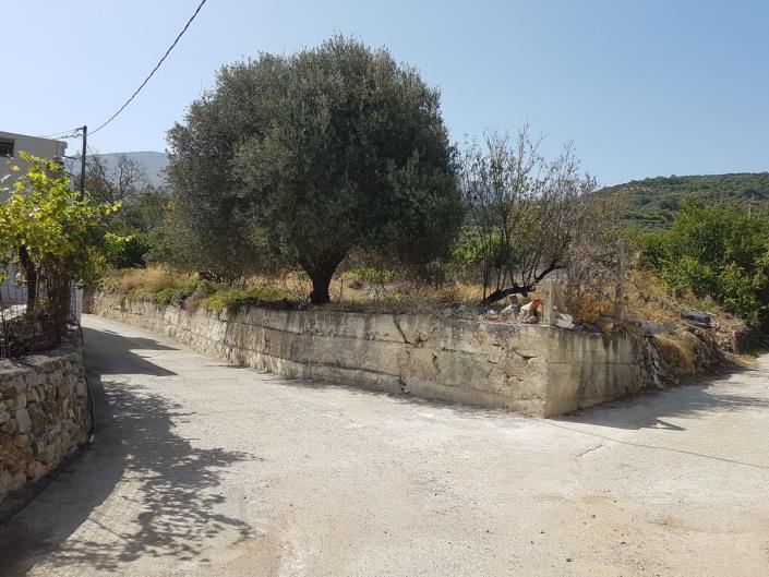 Image No.19-1 Bed Village House for sale