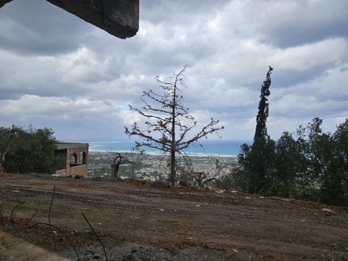 Image No.6-2 Bed House for sale