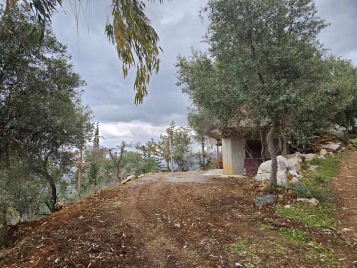 Image No.13-2 Bed House for sale