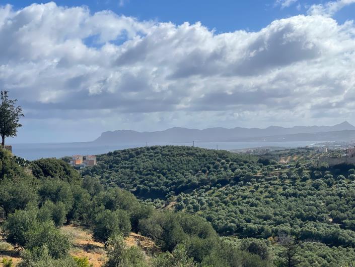 Image No.31-3 Bed House/Villa for sale