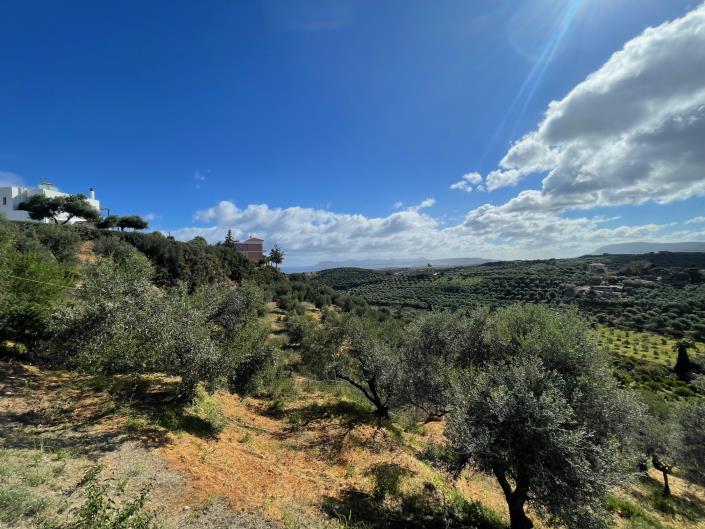 Image No.32-3 Bed House/Villa for sale