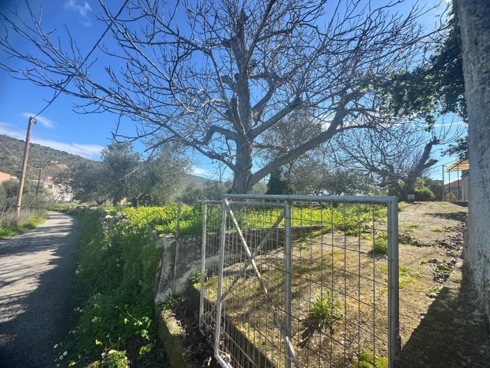 Image No.14-3 Bed House for sale