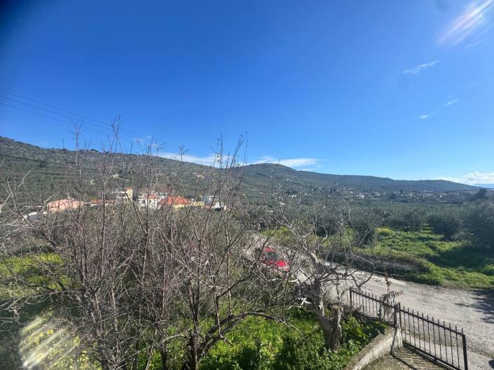 Image No.36-3 Bed House for sale