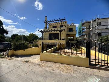 -------JPEG-44E9-973D-AD-1