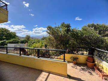 -------JPEG-44E9-973D-AD-2_1