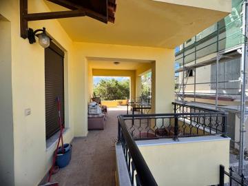 -------JPEG-44E9-973D-AD-3_1