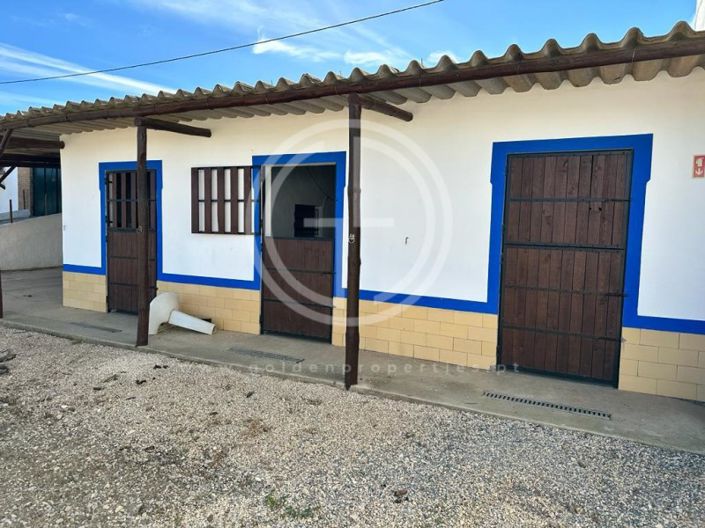 Image No.26-3 Bed House for sale