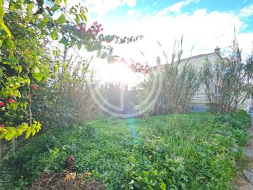 id53618601-0000-0500-0000-00001437f165