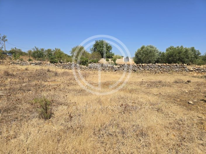 Image No.1-Plot for sale