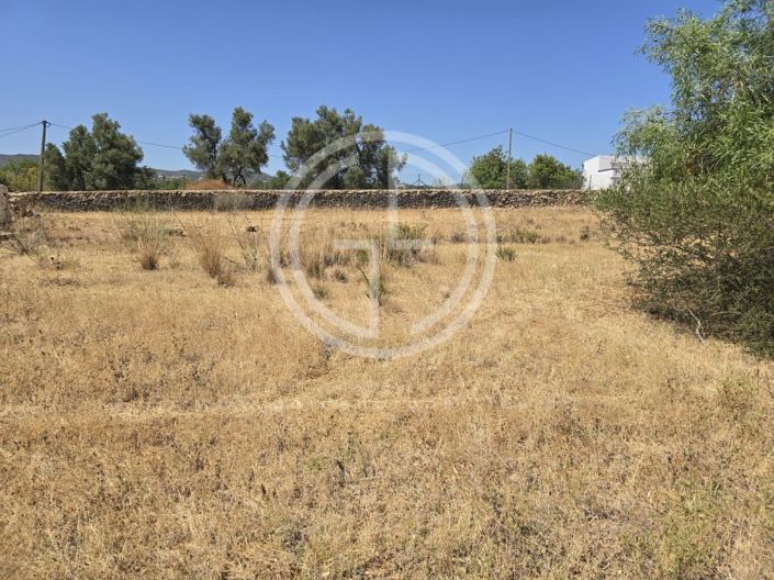 Image No.10-Plot for sale