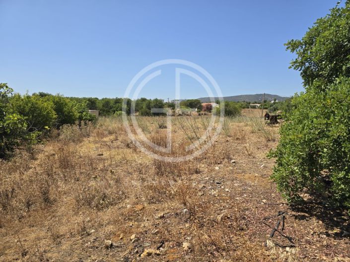 Image No.11-Plot for sale