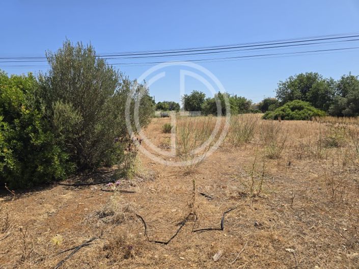 Image No.12-Plot for sale