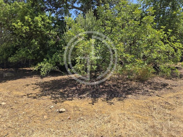 Image No.4-Plot for sale