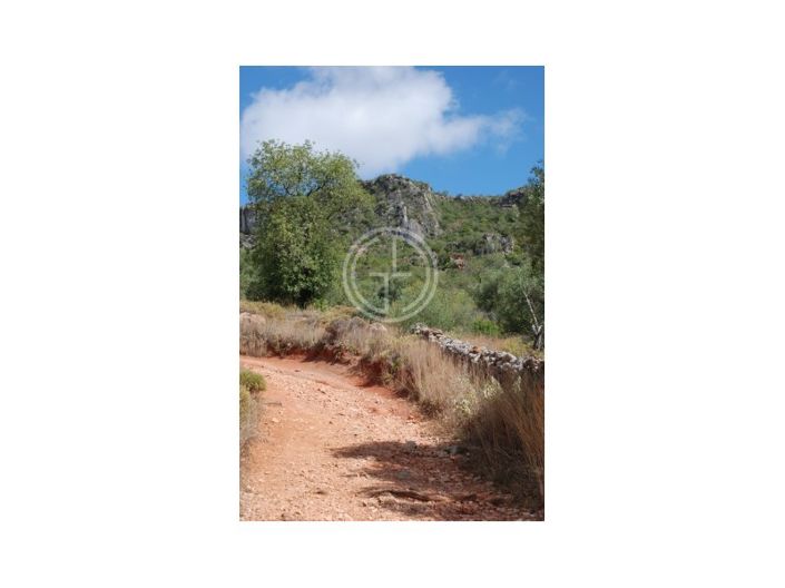 Image No.22-4 Bed House for sale