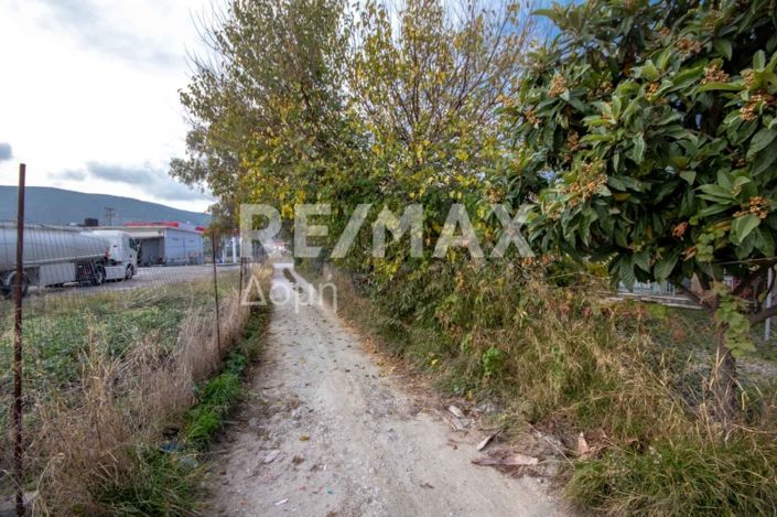 Image No.31-Land for sale