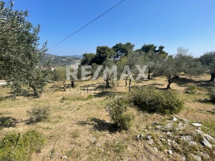 Image No.10-Property for sale