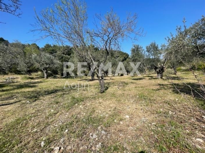 Image No.11-Property for sale