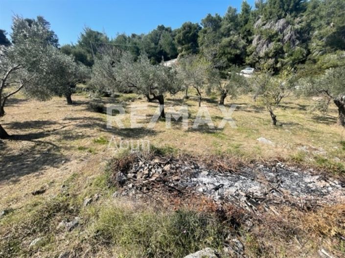 Image No.14-Property for sale