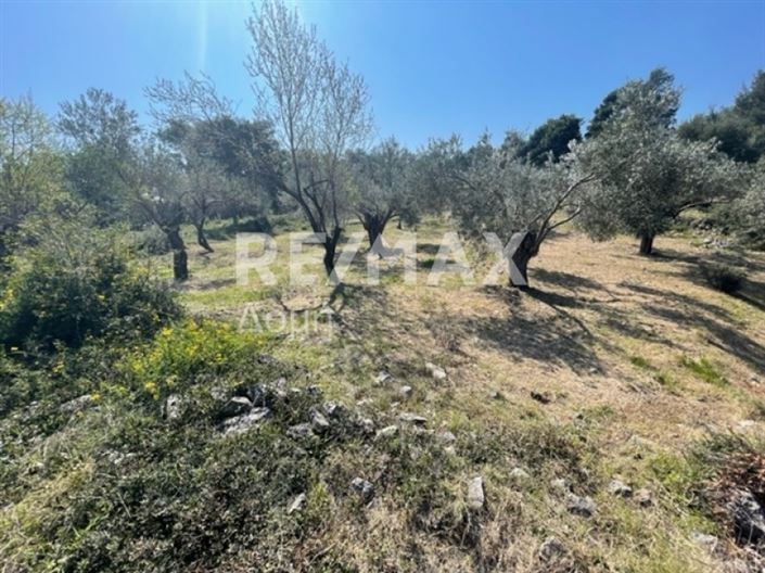 Image No.15-Property for sale