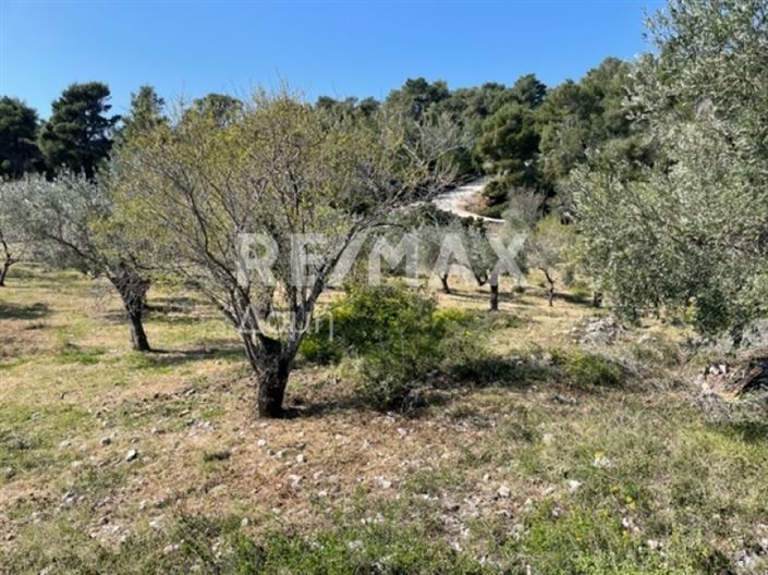 Image No.16-Property for sale