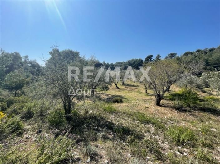 Image No.17-Property for sale