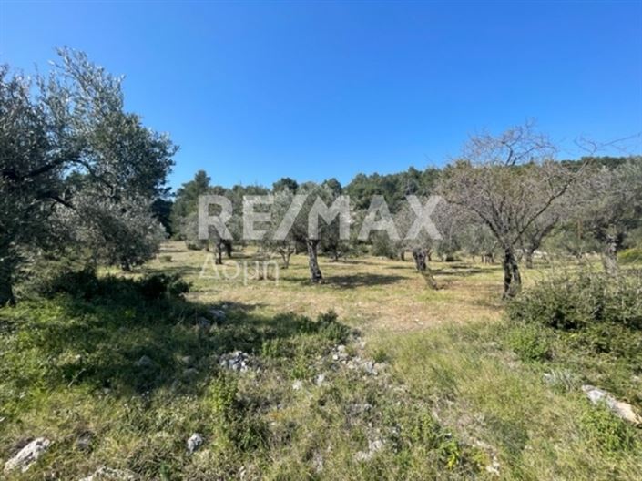 Image No.18-Property for sale