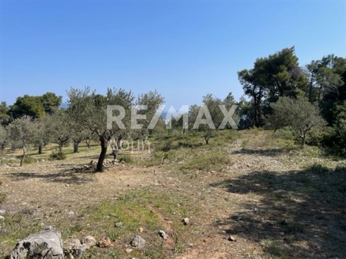 Image No.23-Property for sale