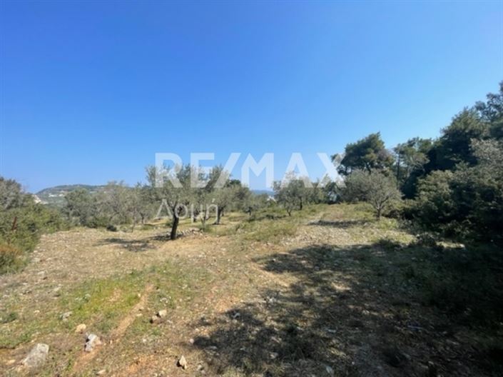 Image No.24-Property for sale