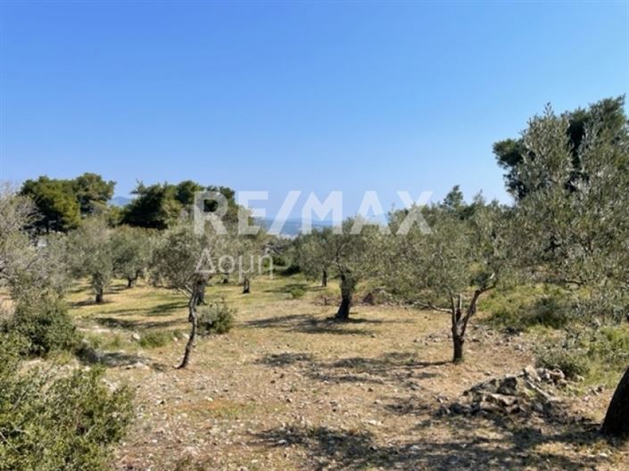 Image No.25-Property for sale