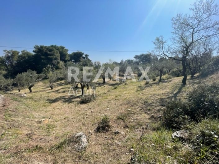 Image No.26-Property for sale